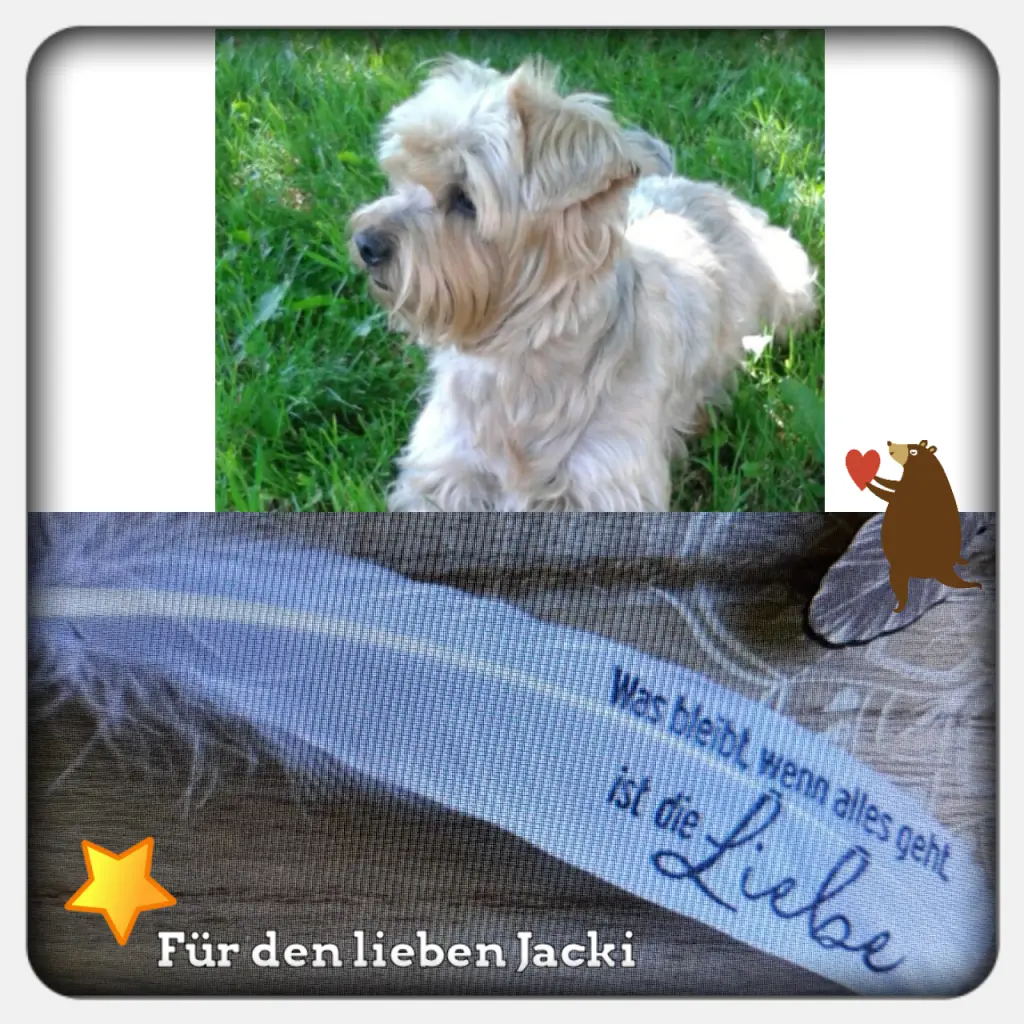 Condolence image of Martina mit Seelenhund Samy ♥️