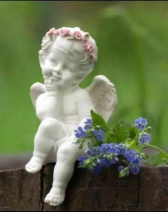 Condolence image of Martina mit Seelenhund Samy ♥️