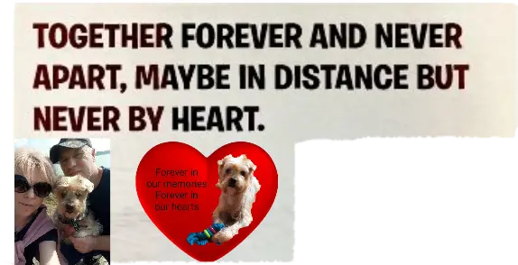 Condolence image of Sonntag, 14 Wochen ohne Dich Jackuś ❤