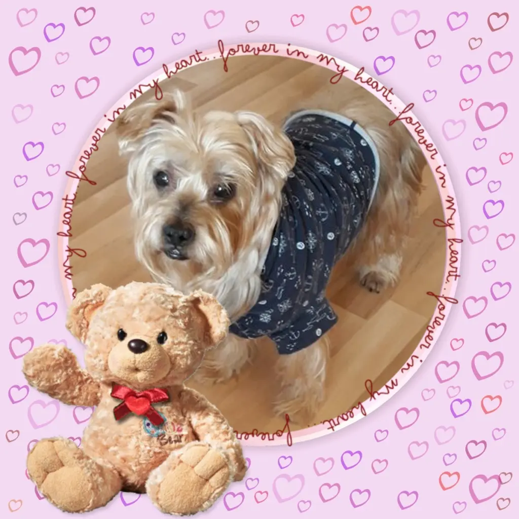 Condolence image of Dla Jackusia❤❤❤❤❤❤❤❤