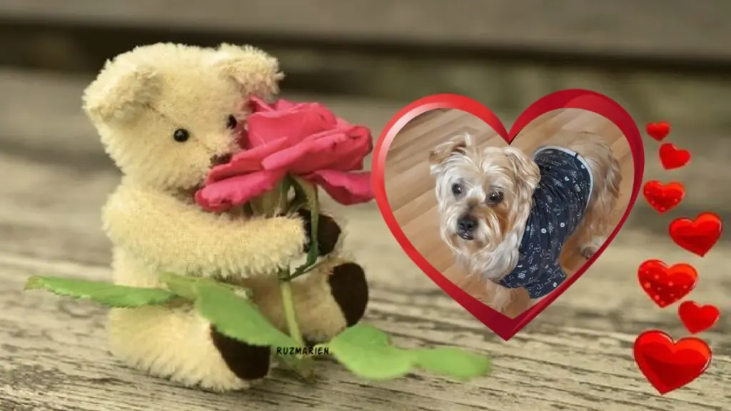 Condolence image of Dla Jackusia❤❤❤❤❤❤❤❤