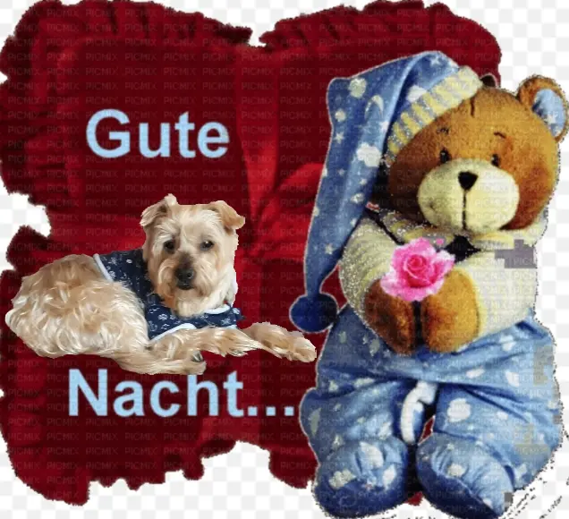 Condolence image of ⭐Gute Nacht Jackusiu❤⭐