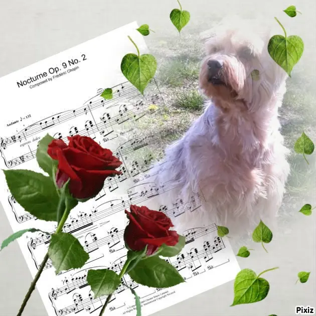 Condolence image of ❤️❤️❤️❤️❤️❤️❤️❤️❤️❤️❤️❤️