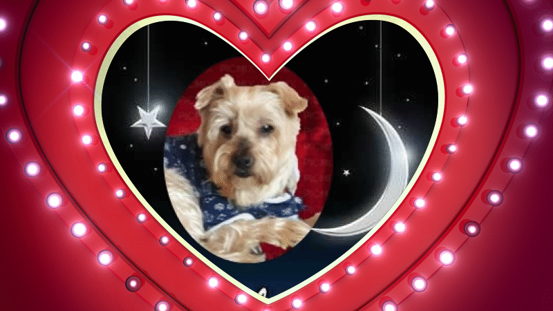 Condolence image of Dobrej Nocki❤️❤️❤️Jackusiu❤️