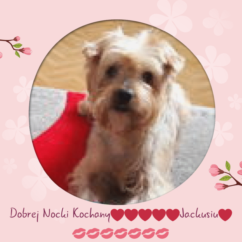 Condolence image of Dobrej Nocki❤️❤️❤️Jackusiu❤️