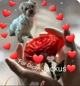 Condolence image of Sonntag, 15 Wochen ohne Dich Jackuś❤