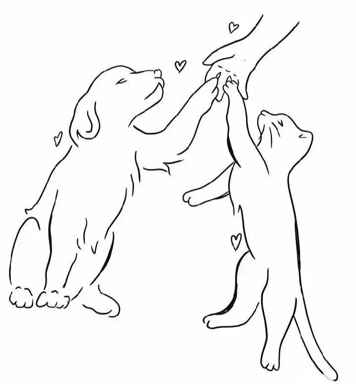 Condolence image of Martina mit Seelenhund Samy ♥️