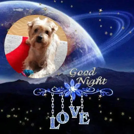 Condolence image of Dobrej Nocki❤️❤️❤️Jackusiu❤️