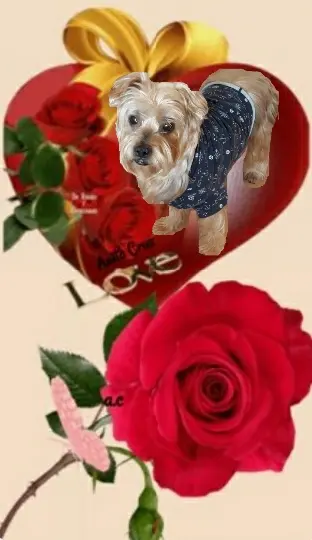 Condolence image of Ewa