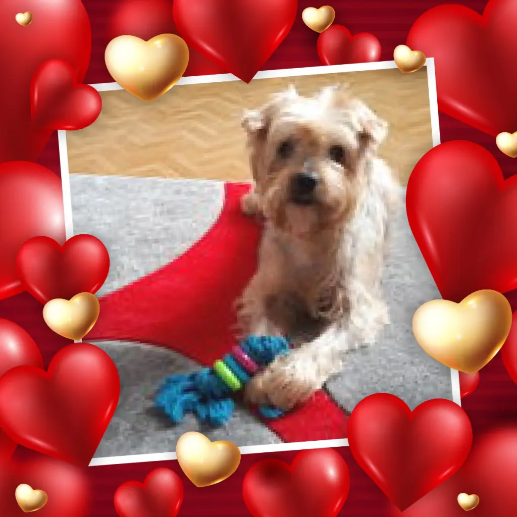 Condolence image of Dobry Wieczór❤️❤️❤️Maluszku❤️❤️❤️Jackusiu❤️