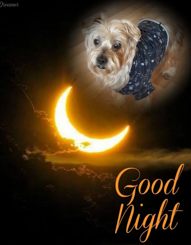 Condolence image of Dobrej Nocki❤️❤️❤️Jackusiu❤️