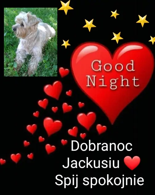Condolence image of ⭐Gute Nacht Jackulek❤⭐