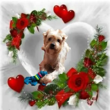 Condolence image of Ewa