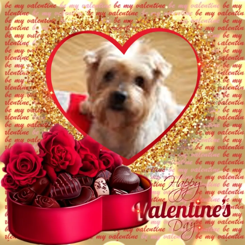 Condolence image of Valentinstag❤️fur Unsere Jackuś❤️