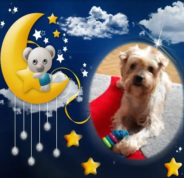 Condolence image of Dobrej Nocki❤️❤️❤️Jackusiu❤️