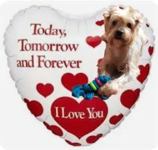 Condolence image of Ewa