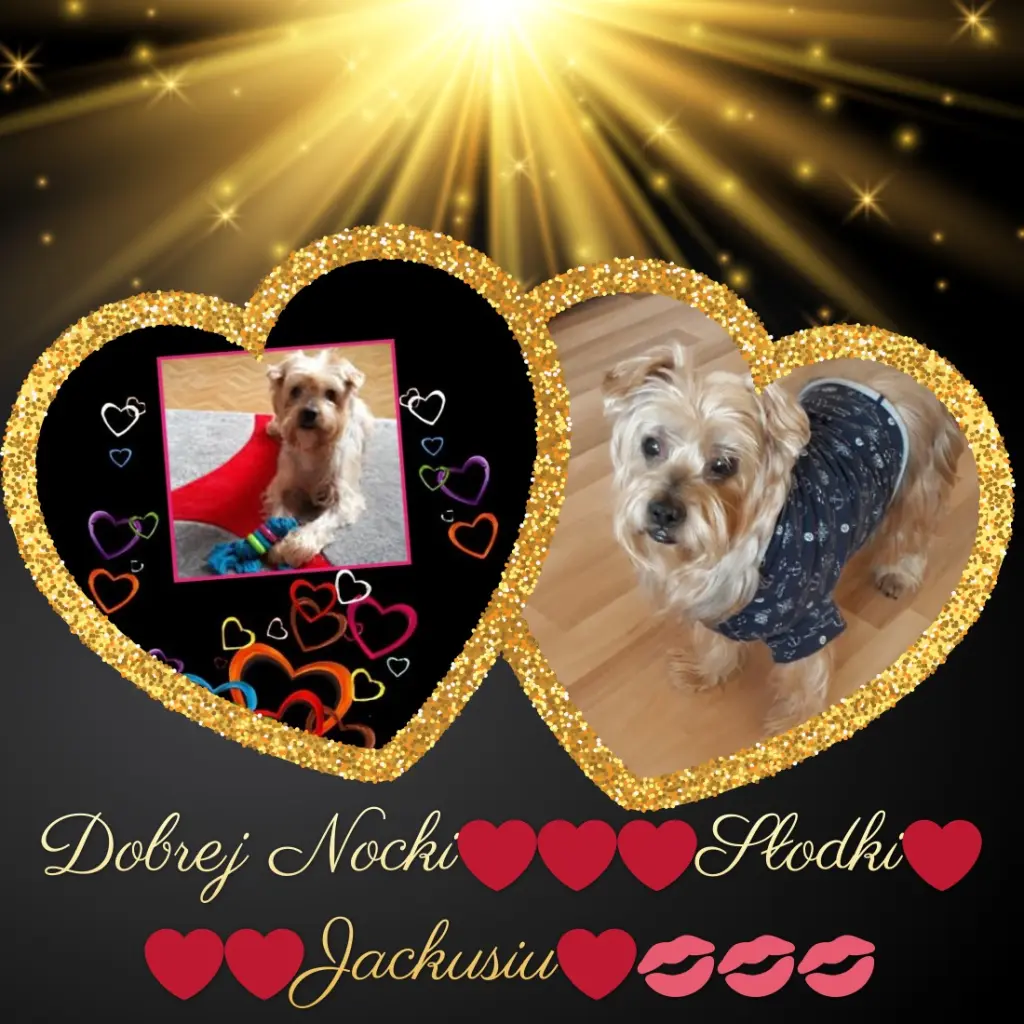 Condolence image of Dobrej Nocki❤️❤️❤️Jackusiu❤️