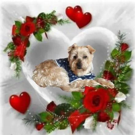 Condolence image of Ewa