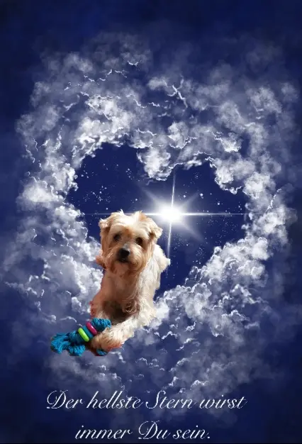 Condolence image of ⭐Gute Nacht Jackuś❤⭐