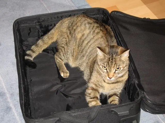 Condolence image of Elisabeth mit Marple, Christie und Arafat im ♥