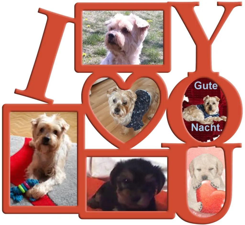 Condolence image of Dobrej Nocki❤️❤️❤️Jackusiu❤️