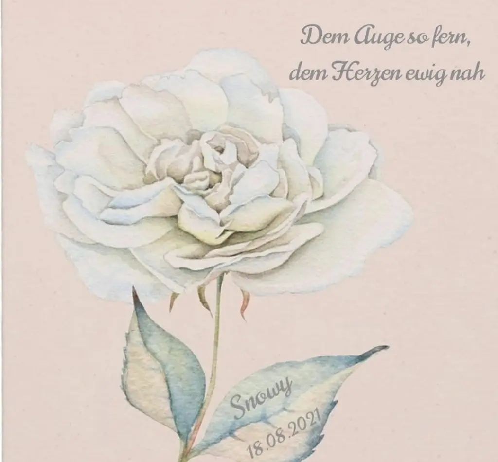 Condolence image of Gaby mit Snowy im Herzen 