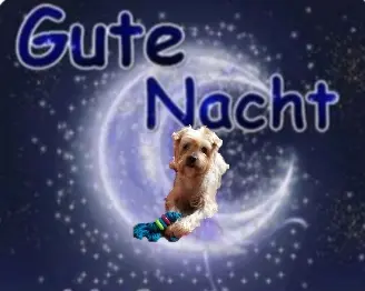 Condolence image of ⭐Gute Nacht⭐