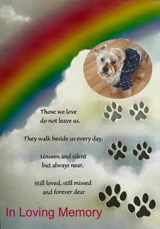 Condolence image of 16 Wochen❤️❤️❤️❤️❤️❤️❤️❤️❤️❤️❤️❤️❤️❤️❤️❤️