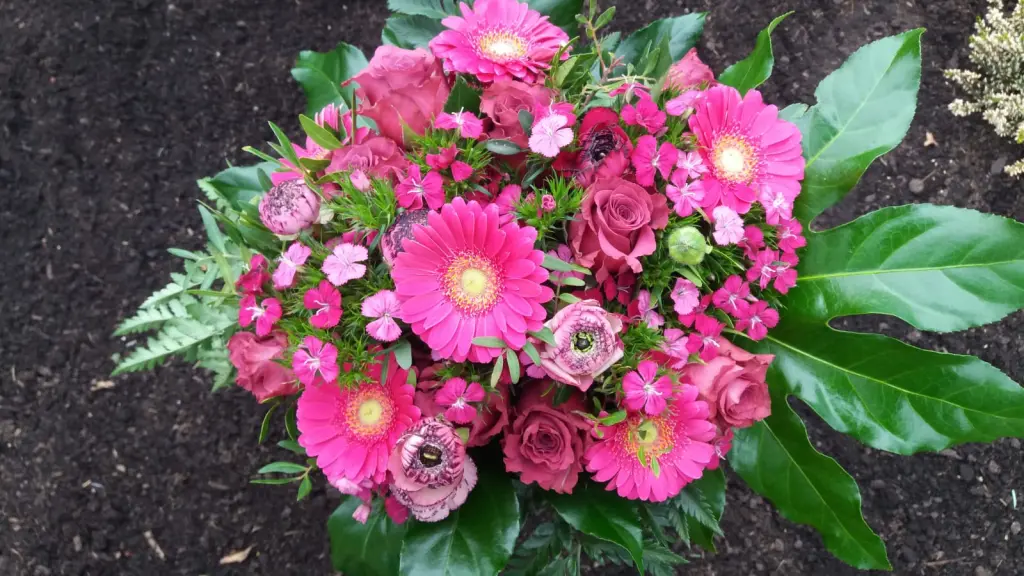 Condolence image of Snoopy ❤Pünktchen 