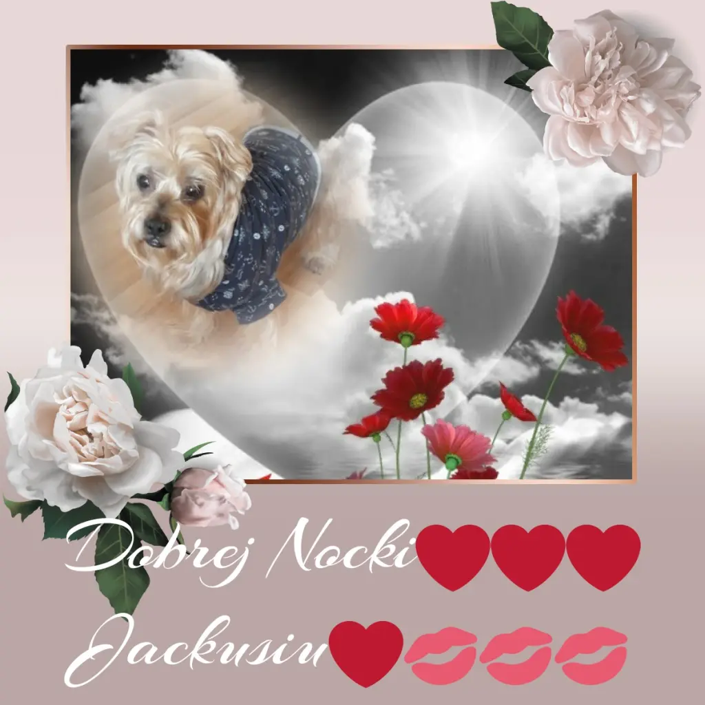 Condolence image of Dobrej Nocki❤️❤️❤️Jackusiu❤️