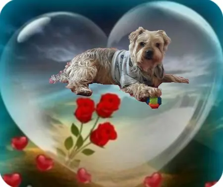 Condolence image of Ewa