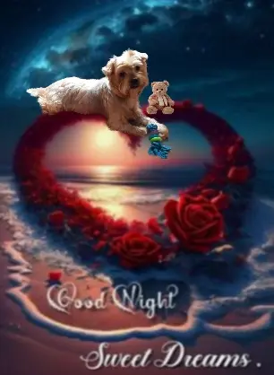 Condolence image of ⭐Gute Nacht Jackuś❤⭐