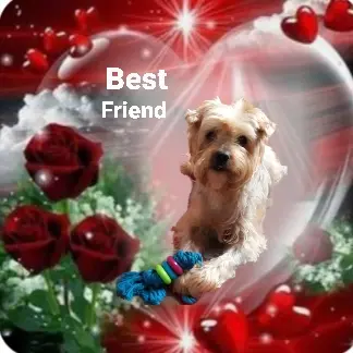 Condolence image of Ewa