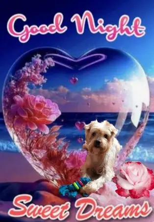 Condolence image of ⭐Gute Nacht Jackuś❤⭐