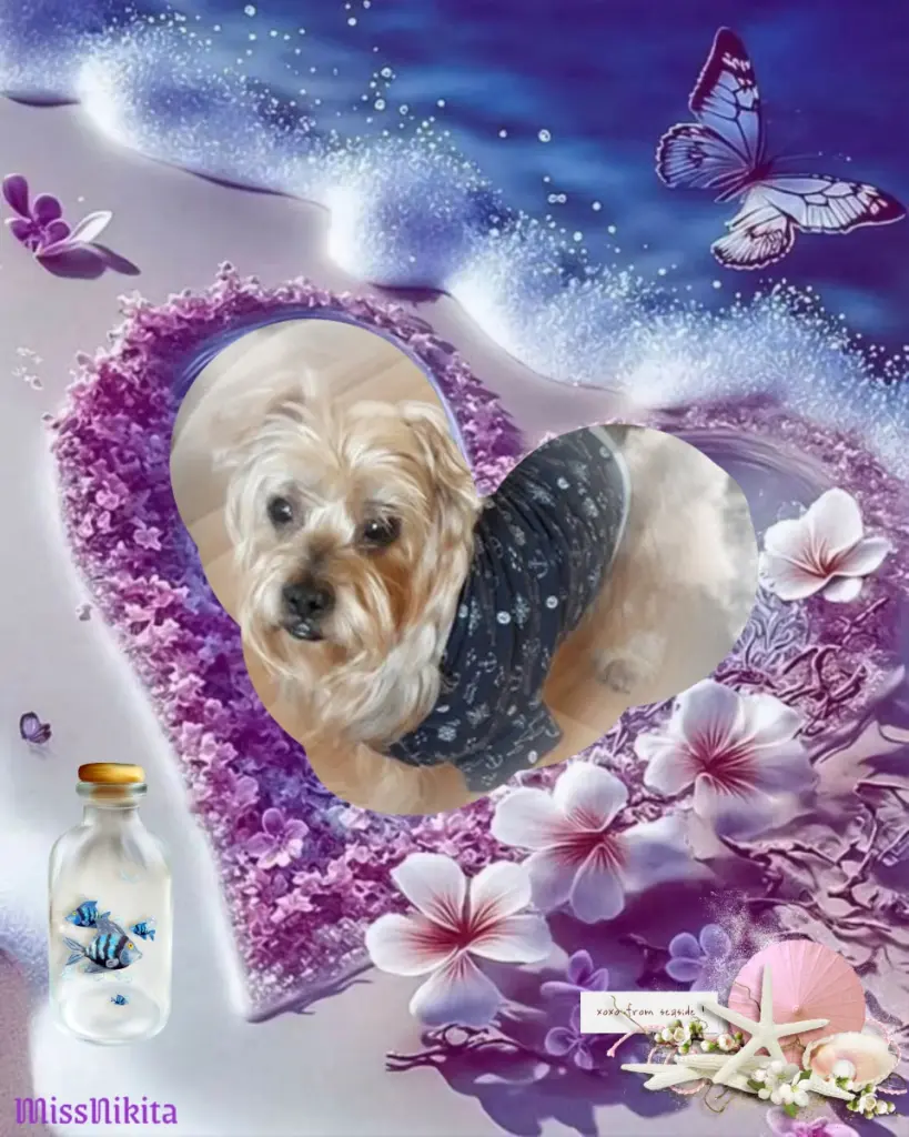 Condolence image of Dobrej Nocki❤️❤️❤️Jackusiu❤️