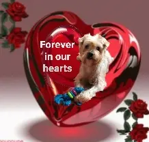 Condolence image of Ewa