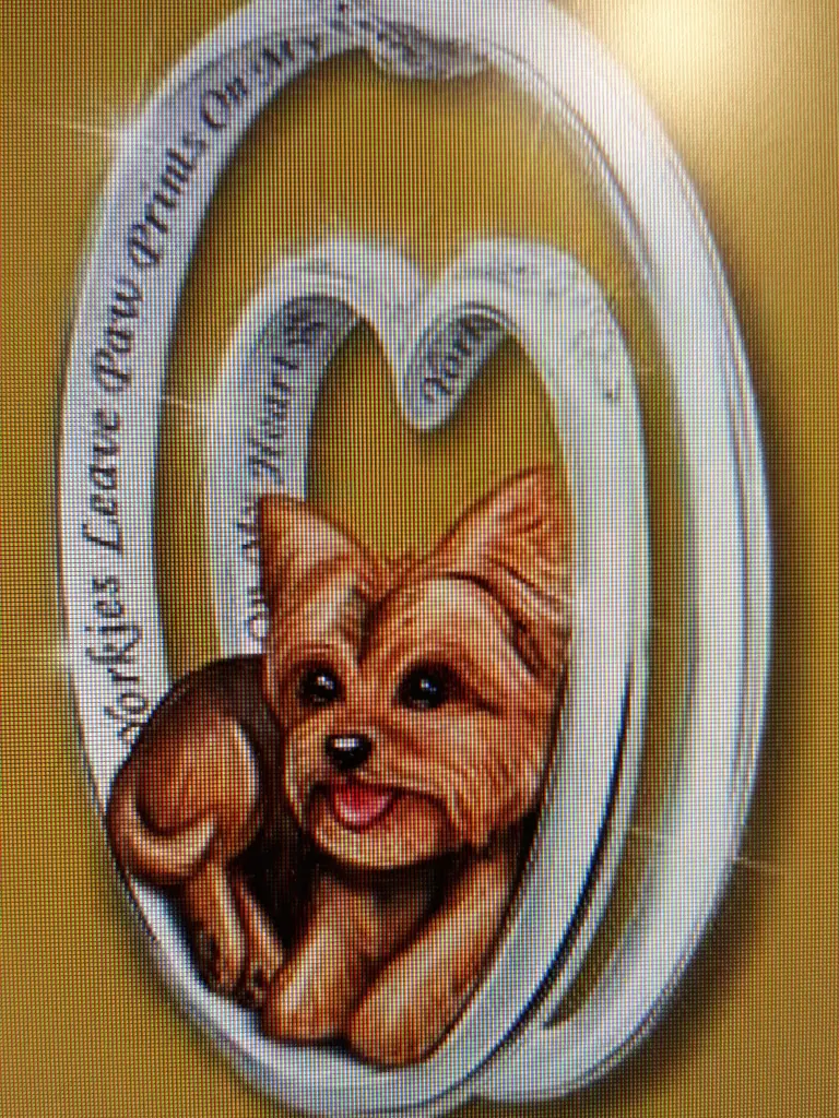 Condolence image of Martina mit Seelenhund Samy ♥️⭐♥️