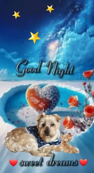 Condolence image of ⭐Gute Nacht Jackusiu❤⭐