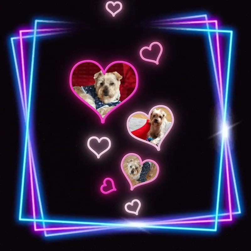 Condolence image of Dobrej Nocki❤️❤️❤️Jackusiu❤️