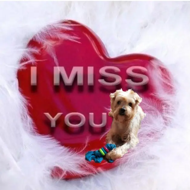 Condolence image of Ewa