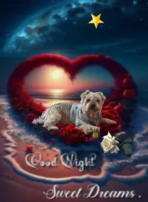 Condolence image of ⭐Gute Nacht Jackuś❤ ⭐