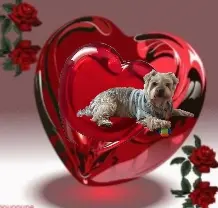 Condolence image of Ewa