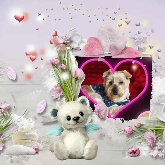 Condolence image of Dzień Dobry❤️❤️❤️Jackusiu❤️❤️❤️