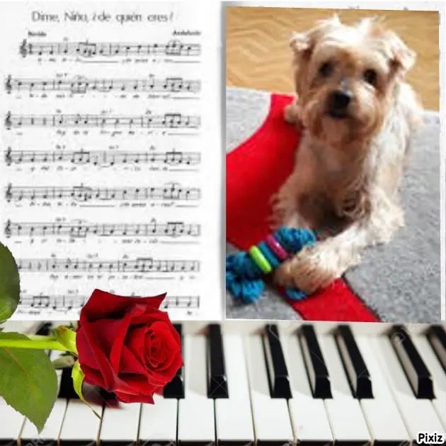 Condolence image of ❤️❤️❤️❤️❤️❤️❤️❤️❤️❤️❤️❤️