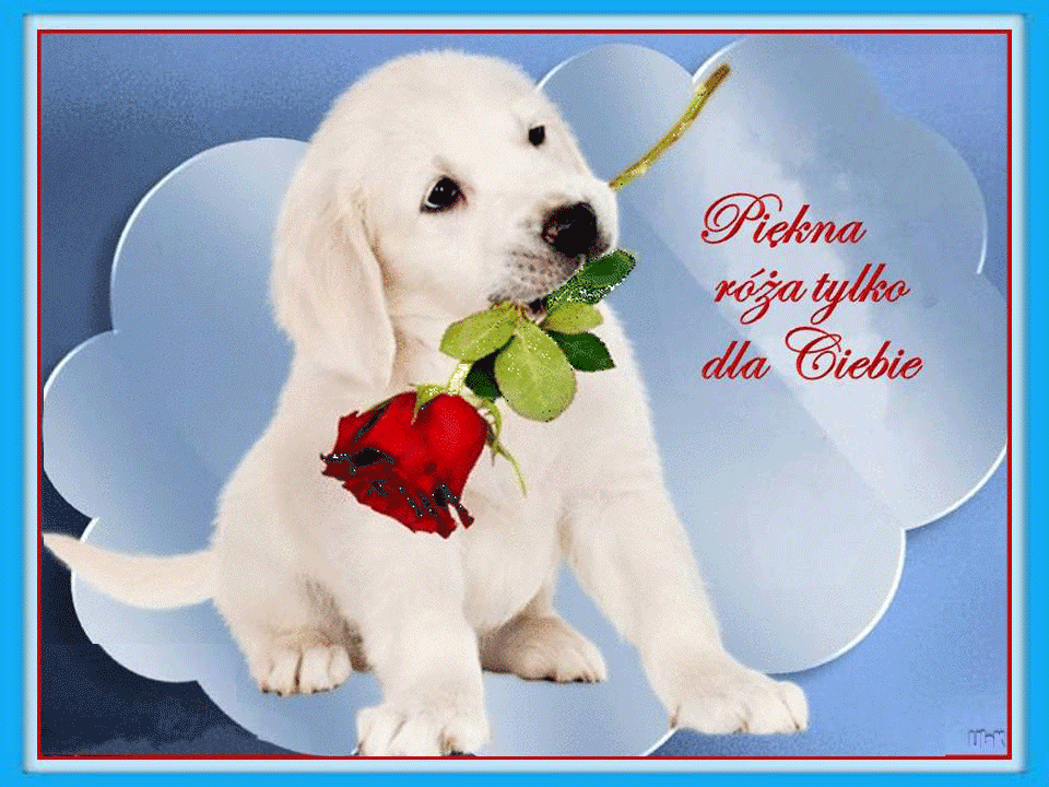 Condolence image of Dla Ewy❤️i Krzysztofa❤️