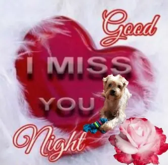 Condolence image of ⭐Gute Nacht Jackuś❤⭐