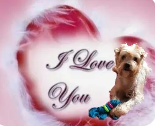 Condolence image of Ewa 