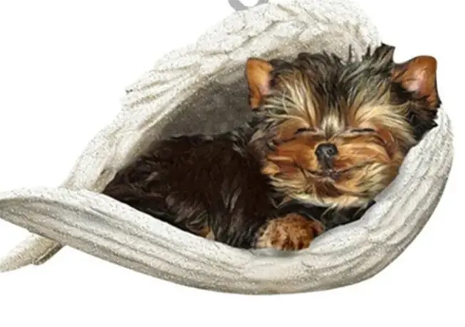 Condolence image of Martina mit Seelenhund Samy ♥️⭐♥️ für immer im Herzen 