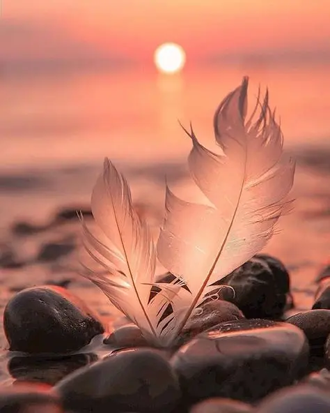 Condolence image of ❤️