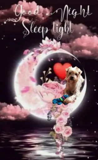 Condolence image of ⭐Gute Nacht Jackuś❤⭐